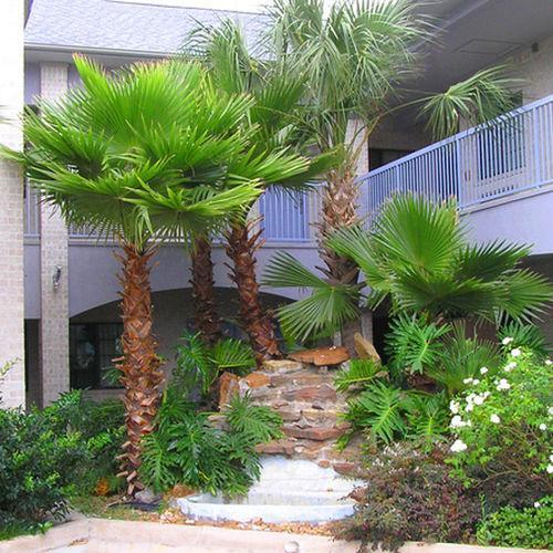 Scott Inn & Suites - Downtown Houston Exterior foto